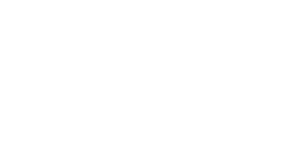 Brandidos